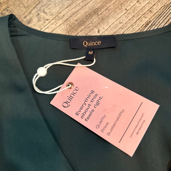 🌳NWT - QUINCE WASHABLE STRETCH SILK PUFF SLEEVE MINI DRESS - Picture 8 of 14